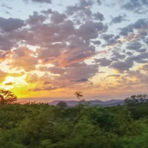 Explore Classic South Africa (from Cape Town/to Johannesburg) for 15 days with DERTOUR and discover unforgettable experiences - Photo 5