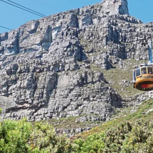 Explore Classic South Africa (from Cape Town/to Johannesburg) for 15 days with DERTOUR and discover unforgettable experiences - Photo 10