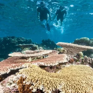 Explore Experience Cairns (3 nights) for 4 days with DERTOUR and discover unforgettable experiences - Photo 3