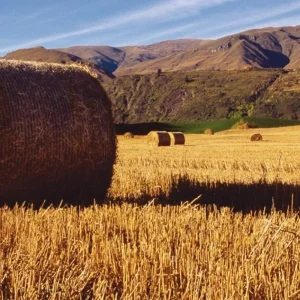 Explore New Zealand Intensive for 19 days with DERTOUR and discover unforgettable experiences - Photo 9