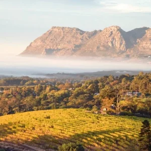 Explore Fascination Garden Route, Karoo and Addo for 12 days with DERTOUR and discover unforgettable experiences - Photo 3