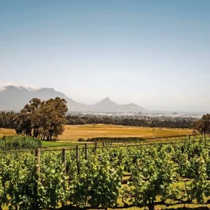 Explore Fascination Garden Route, Karoo and Addo for 12 days with DERTOUR and discover unforgettable experiences - Photo 5