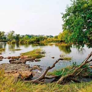 Explore Experience National Parks - Etosha to Victoria Falls for 10 days with DERTOUR and discover unforgettable experiences - Photo 7