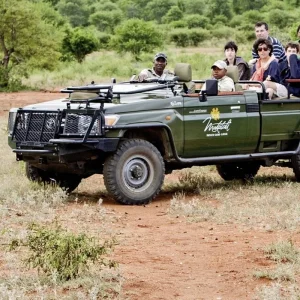 Explore Panorama South Africa for 5 days with DERTOUR and discover unforgettable experiences - Photo 9