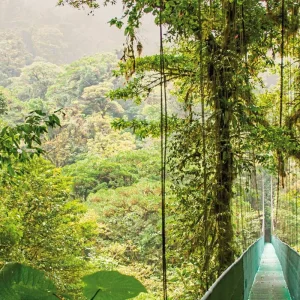 Explore Best of Costa Rica for 12 days with DERTOUR and discover unforgettable experiences - Photo 3