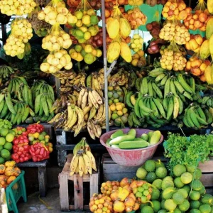 Explore The Mythical Green Amazon for 4 days with DERTOUR and discover unforgettable experiences - Photo 2