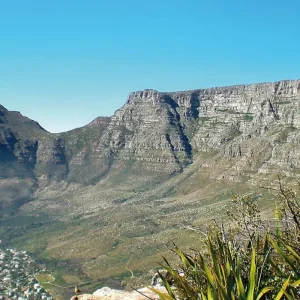 Explore Highlights around Cape Town for 6 days with DERTOUR and discover unforgettable experiences - Photo 7