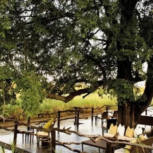 Explore Experience South Africa and the Victoria Falls with More Hotels for 8 days with DERTOUR and discover unforgettable experiences - Photo 8