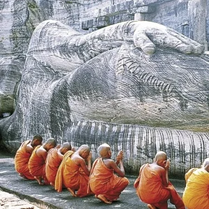 Explore Sri Lanka intensive for 10 days with DERTOUR and discover unforgettable experiences - Photo 3