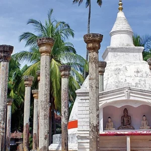 Explore Sri Lanka intensive for 10 days with DERTOUR and discover unforgettable experiences - Photo 6