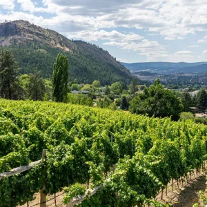 Explore Rockies & Vancouver Spring Premium Tour - 9 Días for 9 days with Discover Canada Tours and discover unforgettable experiences - Photo 3