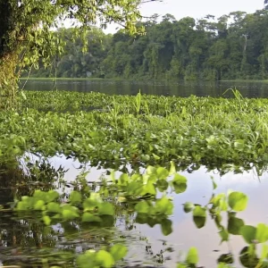Explore Costa Rica - Active & Relaxing for 12 days with MEIERS WELTREISEN and discover unforgettable experiences - Photo 7