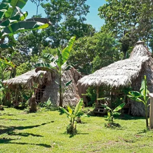 Explore Costa Rica - Active & Relaxing for 12 days with MEIERS WELTREISEN and discover unforgettable experiences - Photo 8