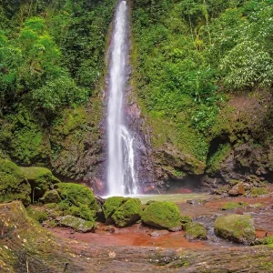 Explore Costa Rica - Active & Relaxing for 12 days with MEIERS WELTREISEN and discover unforgettable experiences - Photo 10
