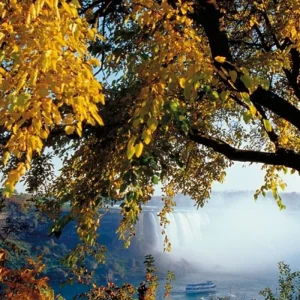 Explore Gateway to The New World for 14 days with MEIERS WELTREISEN and discover unforgettable experiences - Photo 6