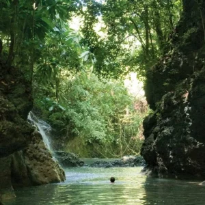 Explore Jamaica's colorful diversity for 10 days with MEIERS WELTREISEN and discover unforgettable experiences - Photo 2