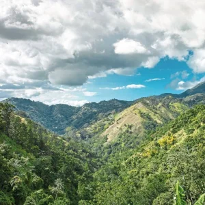 Explore Jamaica's colorful diversity for 10 days with MEIERS WELTREISEN and discover unforgettable experiences - Photo 5