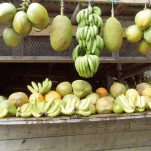 Explore Jamaica's colorful diversity for 10 days with MEIERS WELTREISEN and discover unforgettable experiences - Photo 8