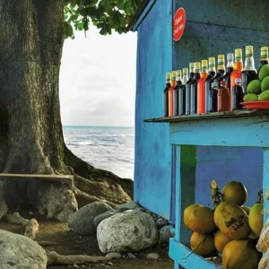 Explore Jamaica's colorful diversity for 10 days with MEIERS WELTREISEN and discover unforgettable experiences - Photo 11