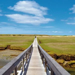 Explore Classic New EngLand for 15 days with MEIERS WELTREISEN and discover unforgettable experiences - Photo 10