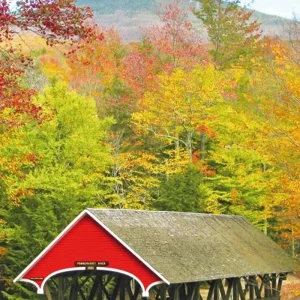 Explore Classic New EngLand for 15 days with MEIERS WELTREISEN and discover unforgettable experiences - Photo 11