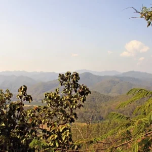 Explore Northern Thailand on 4 wheels for 5 days with MEIERS WELTREISEN and discover unforgettable experiences - Photo 2