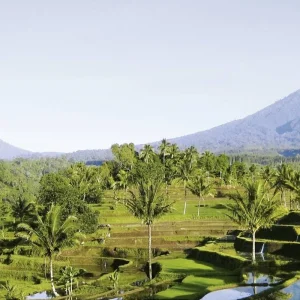 Explore Fascination Bali & unique East Java (private tour) for 9 days with MEIERS WELTREISEN and discover unforgettable experiences - Photo 2