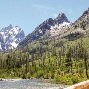 Explore From Yellowstone to the Grand Canyon for 14 days with DERTOUR and discover unforgettable experiences - Photo 9