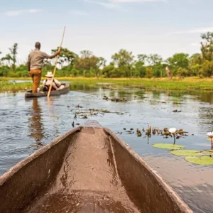 Explore Botswana Kaleidoscope for 11 days with DERTOUR and discover unforgettable experiences - Photo 4