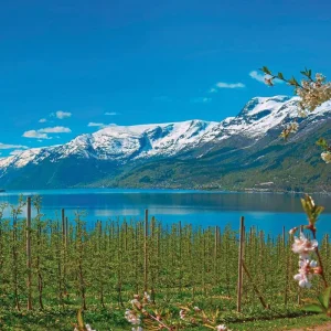 Explore Imposing fjord country for 8 days with DERTOUR and discover unforgettable experiences - Photo 5