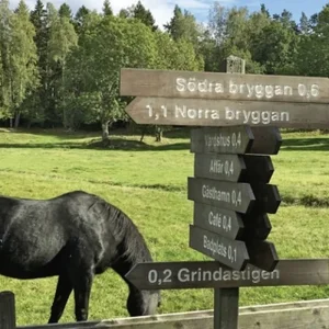 Explore Stockholm - Island hopping on the coulters for 7 days with DERTOUR and discover unforgettable experiences - Photo 3