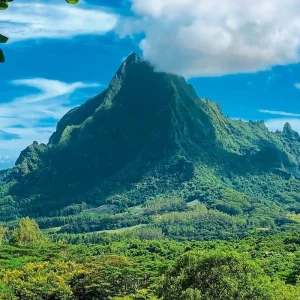 Explore Dream destination Polynesia for 12 days with DERTOUR and discover unforgettable experiences - Photo 3