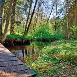 Explore Sweden's top ten for 12 days with DERTOUR and discover unforgettable experiences - Photo 5