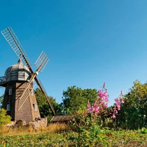Explore Sweden's top ten for 12 days with DERTOUR and discover unforgettable experiences - Photo 7