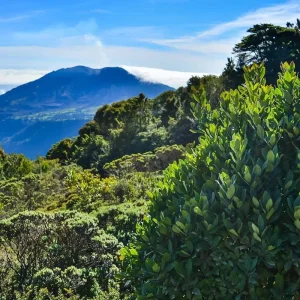 Explore  for 7 days with Receptivo Aborigen Tours and discover unforgettable experiences - Photo 2