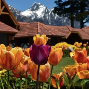 Explore  for 4 days with Receptivo Aborigen Tours and discover unforgettable experiences - Photo 4