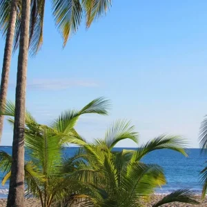 Explore  for 7 days with Receptivo Aborigen Tours and discover unforgettable experiences - Photo 5