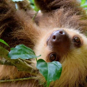 Explore  for 8 days with Receptivo Aborigen Tours and discover unforgettable experiences - Photo 5