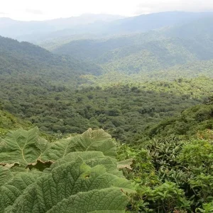 Explore  for 8 days with Receptivo Aborigen Tours and discover unforgettable experiences - Photo 6