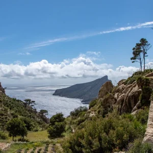 Explore The Classic GR 221 - The Total Route from Coast to Coast (12 days) for 12 days with ASI Reisen and discover unforgettable experiences - Photo 8