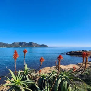 Explore The Classic GR 221 - The Total Route from Coast to Coast (12 days) for 12 days with ASI Reisen and discover unforgettable experiences - Photo 10