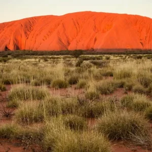 Explore Sydney, Uluru & Cairns Highlights for 10 days with Australia and New Zealand Travel Company and discover unforgettable experiences - Photo 5