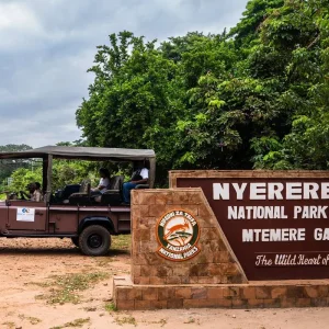 Explore Zanzibar : 7 days Beach & Safari Holiday, Selous Game Reserve adventure for 7 days with Beach and Safari Holidays and discover unforgettable experiences - Photo 4