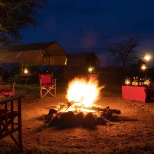 Explore From Arusha : 5 days The Best of Tanzania's National Parks Safari Experience, Serengeti, Lake Manyara, Tarangire for 5 days with Beach and Safari Holidays and discover unforgettable experiences - Photo 3