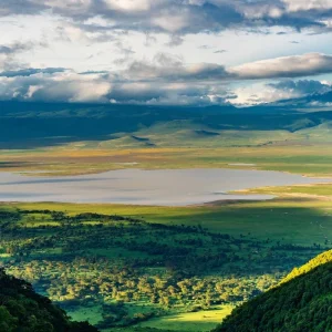 Explore From Arusha 6 days Tanzania's Iconic Safari Adventure: From Savannah to Crater: Serengeti, Lake Manyara N.P for 6 days with Beach and Safari Holidays and discover unforgettable experiences - Photo 5