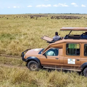 Explore From Arusha  4 days Savannah to Crater: Serengeti and Ngorongoro Safari Trip for 4 days with Beach and Safari Holidays and discover unforgettable experiences - Photo 4