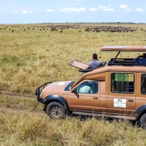 Explore From Arusha: 11 Days famous Serengeti Inside out safari for 11 days with Beach and Safari Holidays and discover unforgettable experiences - Photo 9
