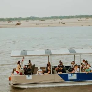 Explore From Zanzibar to Selous G.R : 4 Days Safari Trip Wonders: 2 Full Day Game Drive & 3 excursions for 4 days with Beach and Safari Holidays and discover unforgettable experiences - Photo 2