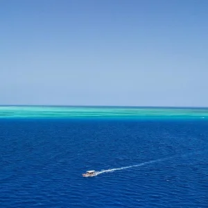 Explore Zanzibar 8 days Diving Holiday, Dive & Relaxation Getaway Trip Experience for 8 days with Beach and Safari Holidays and discover unforgettable experiences - Photo 7