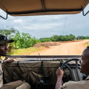 Explore From Zanzibar to Selous G.R: 5 days Wilderness Escape: 3 Full-Day Game Drive Safari and Excursions for 5 days with Beach and Safari Holidays and discover unforgettable experiences - Photo 5